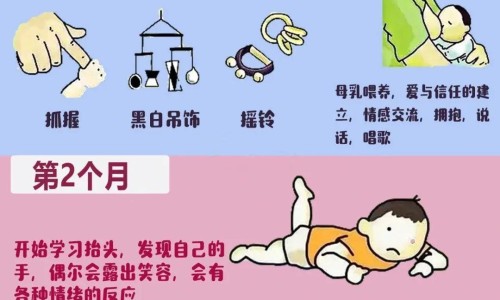 试管婴儿理疗有必要吗-试管医疗专区_试管婴儿的几大骗局专区_试管婴儿理疗网
