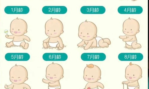 试管婴儿理疗多少钱-试管医疗专区_试管婴儿的几大骗局专区_试管婴儿理疗网